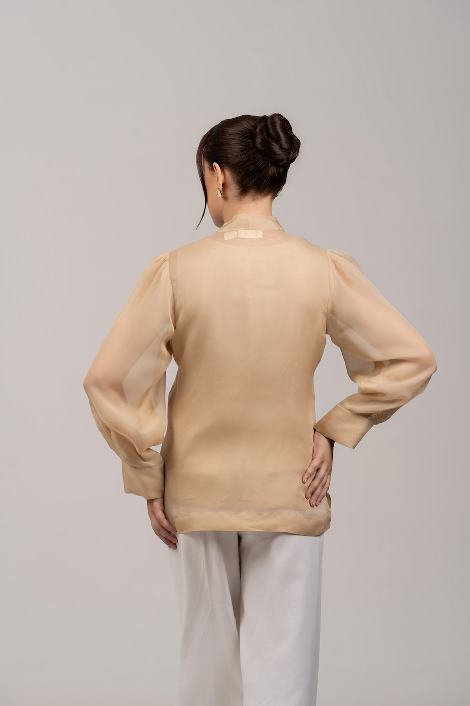 Beige Organza Shirt