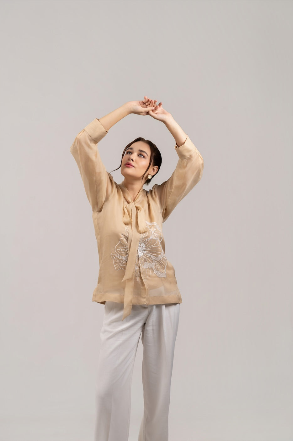 Beige Organza Shirt